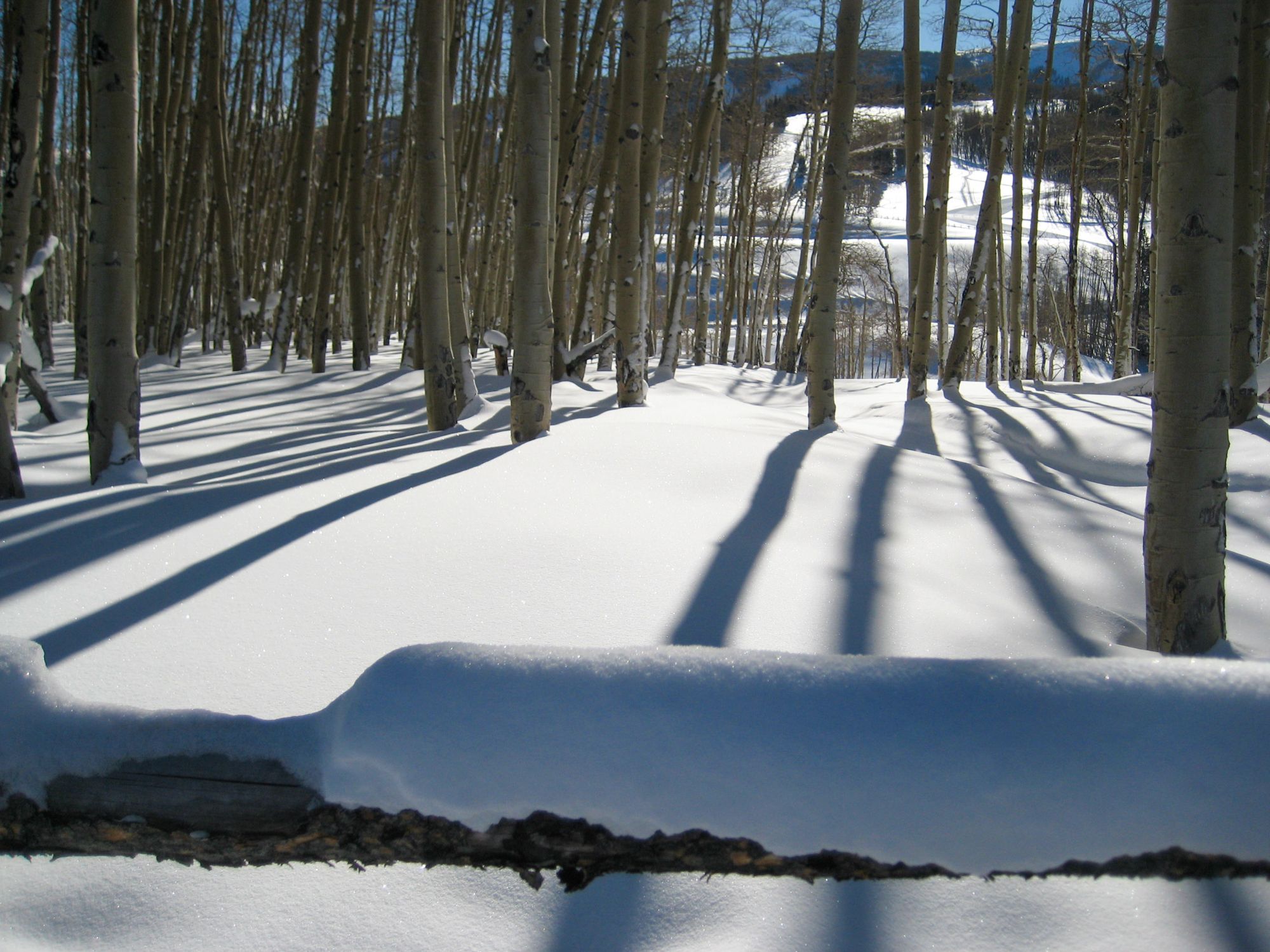 2010 Beaver Creek 62